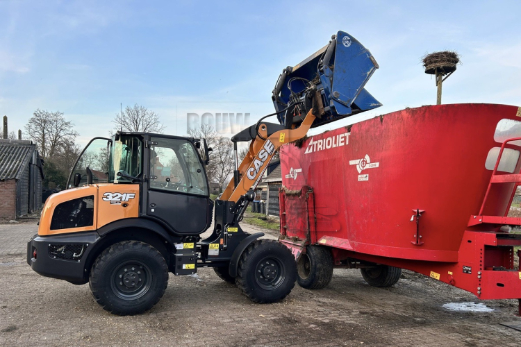 Kleine krachtpatser staat zijn mannetje