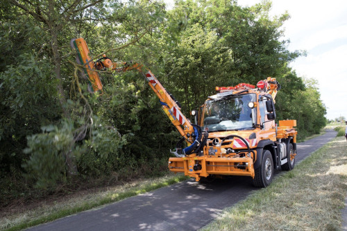 Unimog