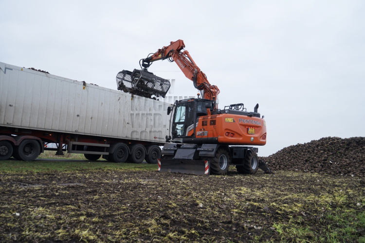 Koning van de bietencampagne