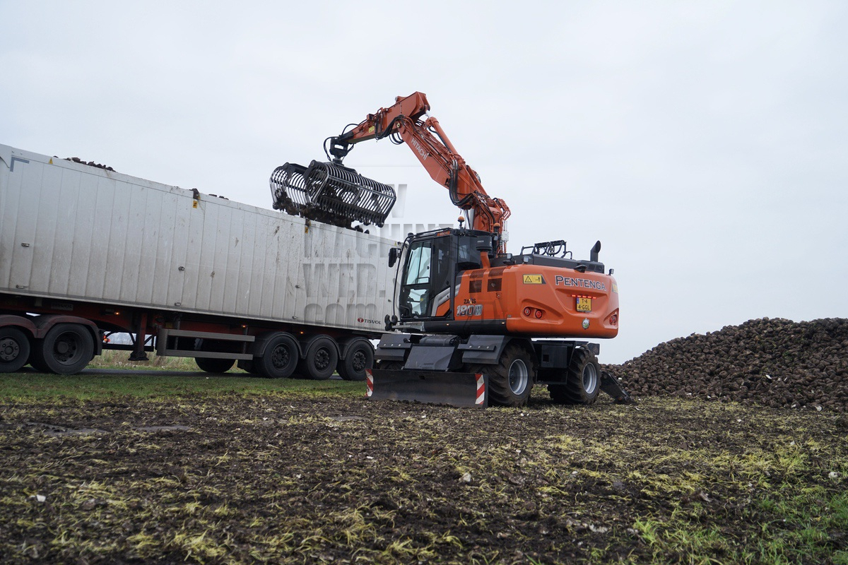 Koning van de bietencampagne
